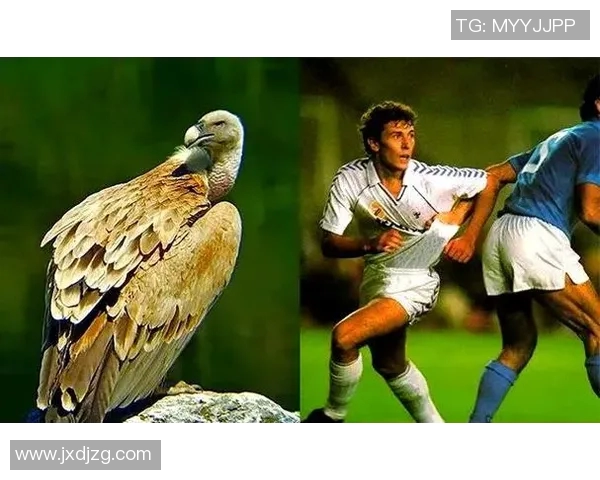 足球明星的奇葩外号揭秘你知道多少个有趣的称呼吗